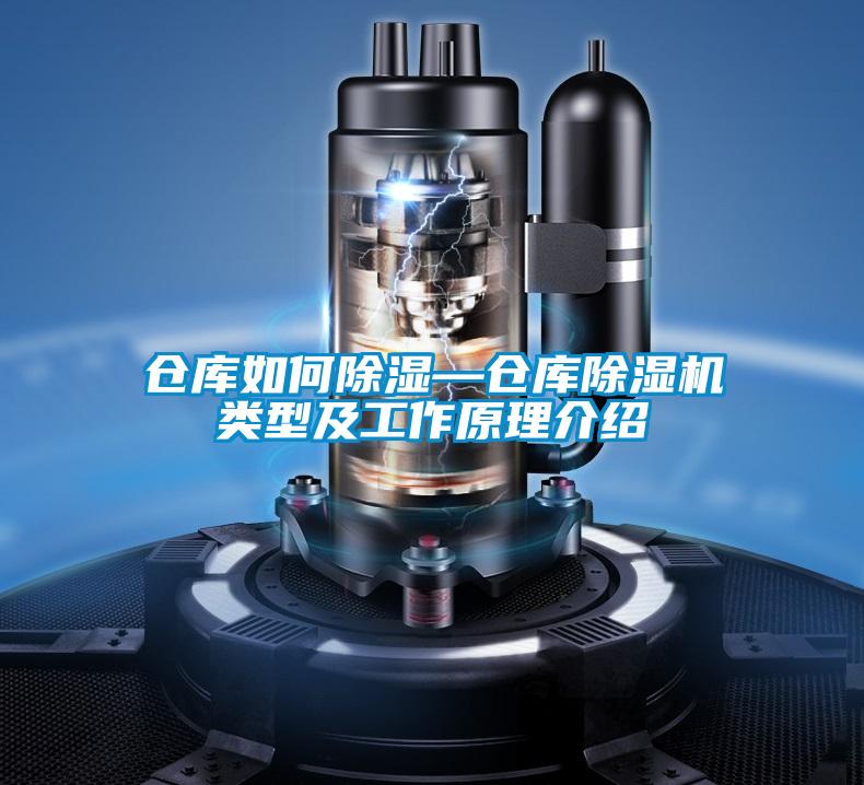 倉(cāng)庫(kù)如何除濕—倉(cāng)庫(kù)除濕機(jī)類型及工作原理介紹