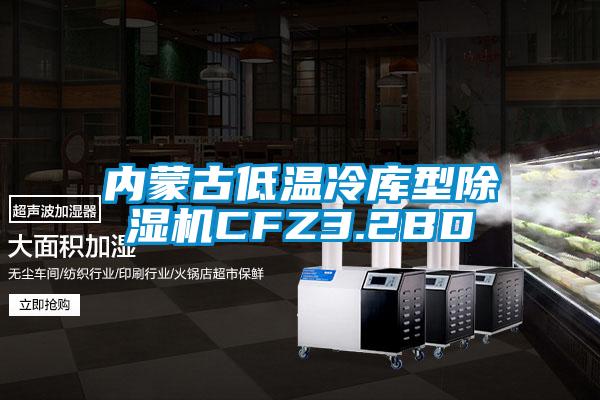內蒙古低溫冷庫型除濕機CFZ3.2BD