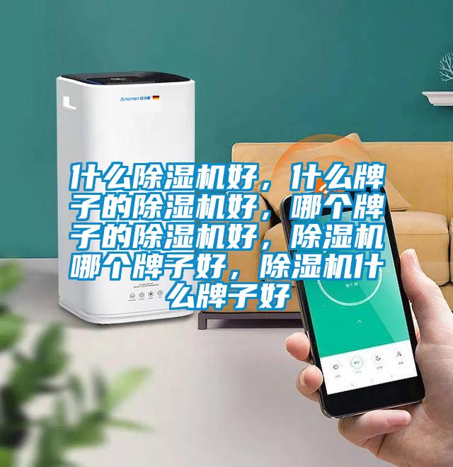 什么除濕機好，什么牌子的除濕機好，哪個牌子的除濕機好，除濕機哪個牌子好，除濕機什么牌子好