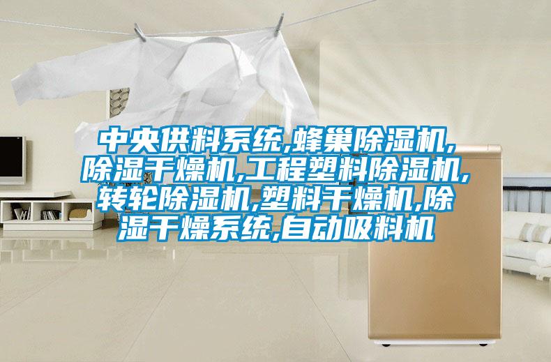 中央供料系統,蜂巢除濕機,除濕干燥機,工程塑料除濕機,轉輪除濕機,塑料干燥機,除濕干燥系統,自動吸料機