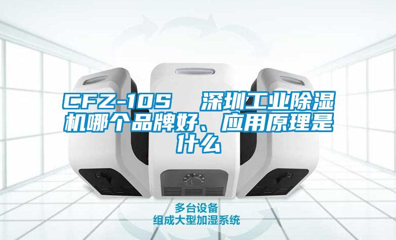 CFZ-10S  深圳工業除濕機哪個品牌好、應用原理是什么