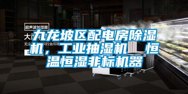 九龍坡區(qū)配電房除濕機(jī)，工業(yè)抽濕機(jī)  恒溫恒濕非標(biāo)機(jī)器