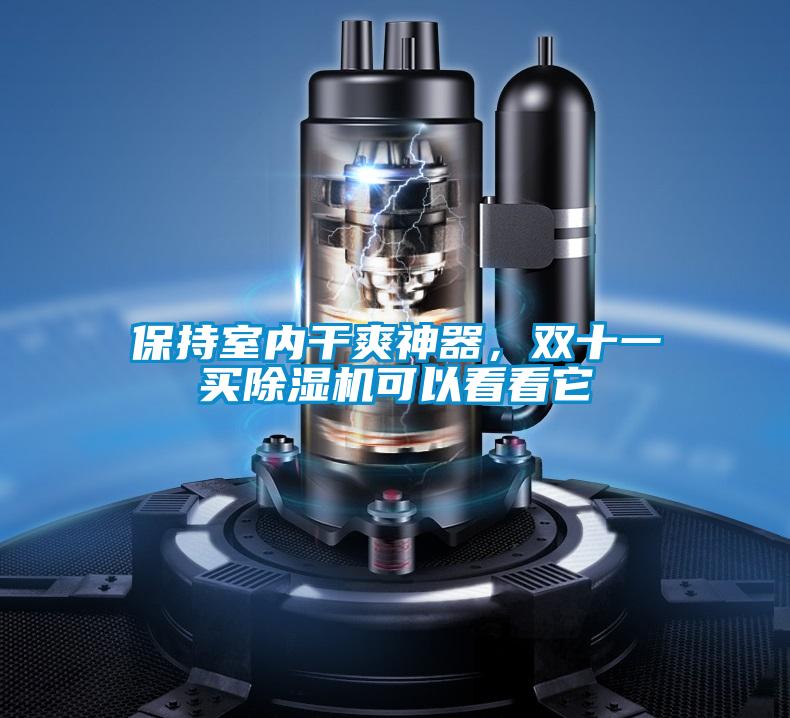 保持室內干爽神器，雙十一買除濕機可以看看它