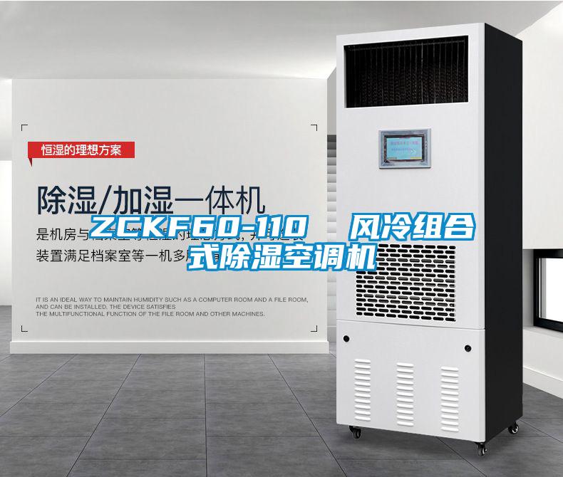 ZCKF60-110  風冷組合式除濕空調機