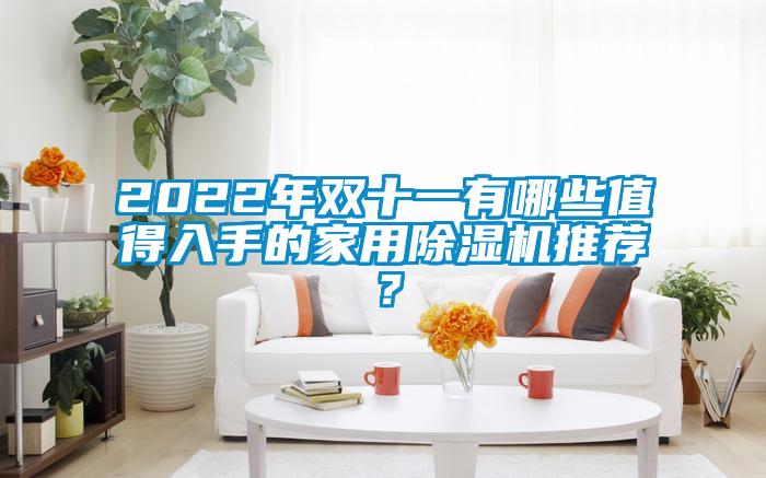 2022年雙十一有哪些值得入手的家用除濕機推薦？