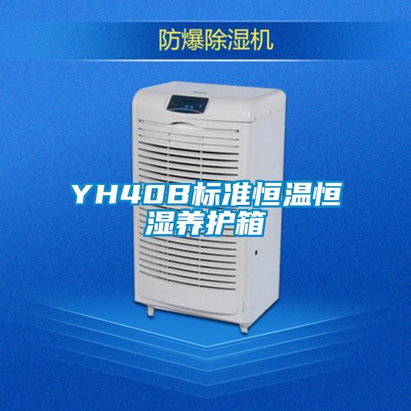 YH40B標準恒溫恒濕養護箱