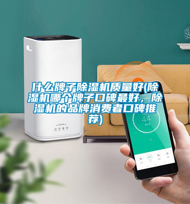 什么牌子除濕機質量好(除濕機哪個牌子口碑最好，除濕機的品牌消費者口碑推薦)