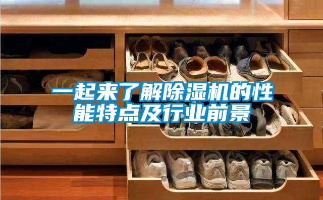 一起來了解除濕機的性能特點及行業前景