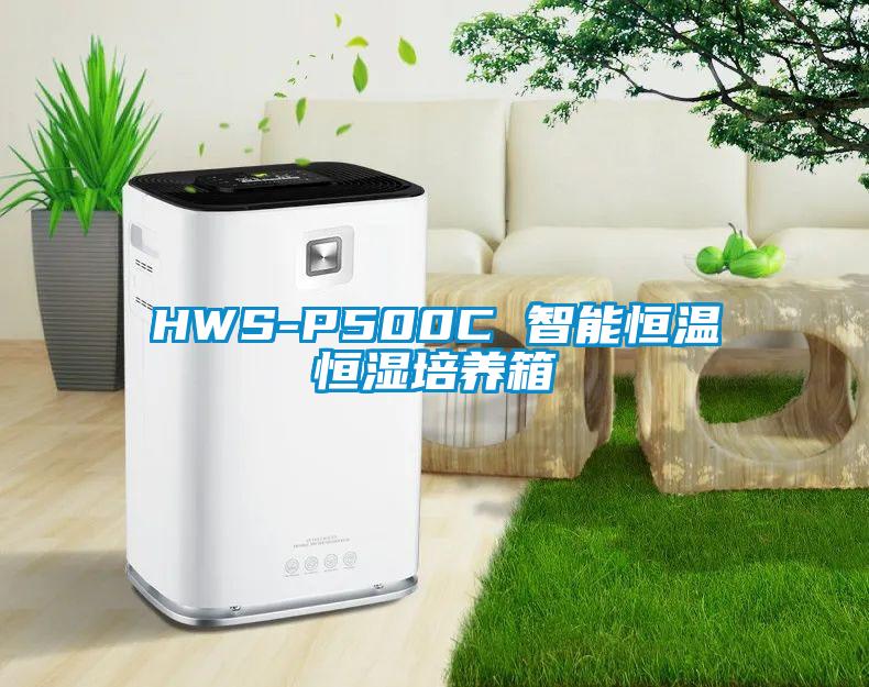 HWS-P500C 智能恒溫恒濕培養箱