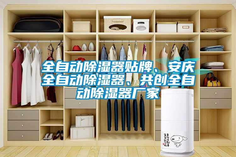 全自動除濕器貼牌、安慶全自動除濕器、共創(chuàng)全自動除濕器廠家