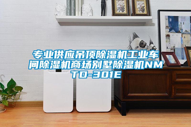 專業供應吊頂除濕機工業車間除濕機商場別墅除濕機NMTD-301E