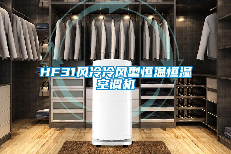 HF31風冷冷風型恒溫恒濕空調機