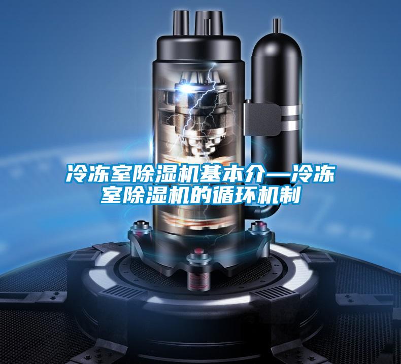 冷凍室除濕機基本介—冷凍室除濕機的循環機制