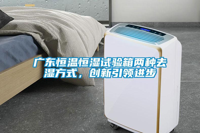 廣東恒溫恒濕試驗箱兩種去濕方式，創新引領進步