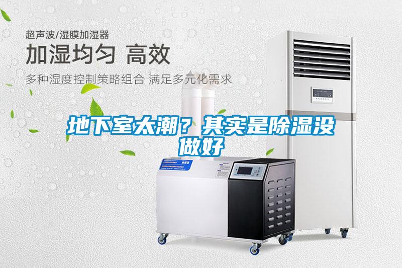 地下室太潮？其實是除濕沒做好