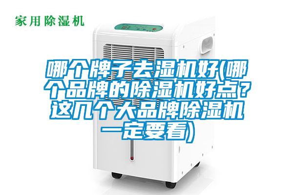 哪個牌子去濕機好(哪個品牌的除濕機好點？這幾個大品牌除濕機一定要看)