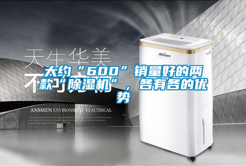 大約“600”銷量好的兩款“除濕機”，各有各的優(yōu)勢