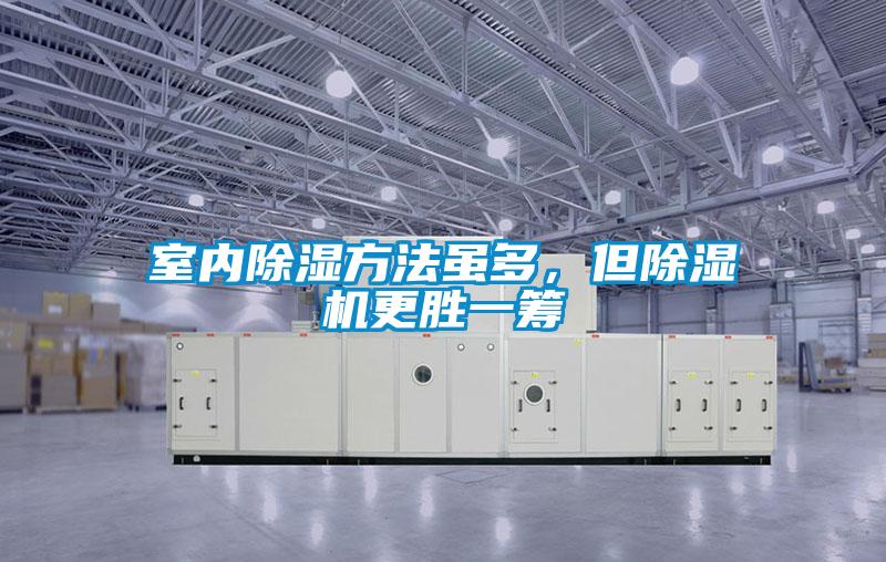 室內(nèi)除濕方法雖多，但除濕機更勝一籌