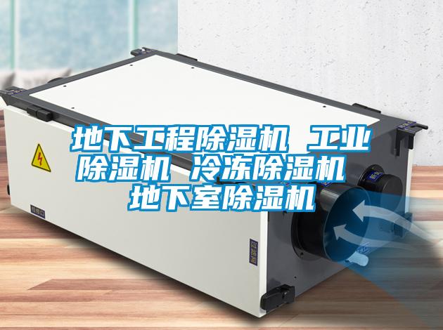 地下工程除濕機 工業(yè)除濕機 冷凍除濕機 地下室除濕機