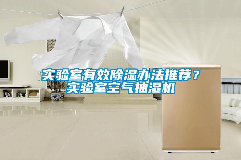 實(shí)驗(yàn)室有效除濕辦法推薦？實(shí)驗(yàn)室空氣抽濕機(jī)