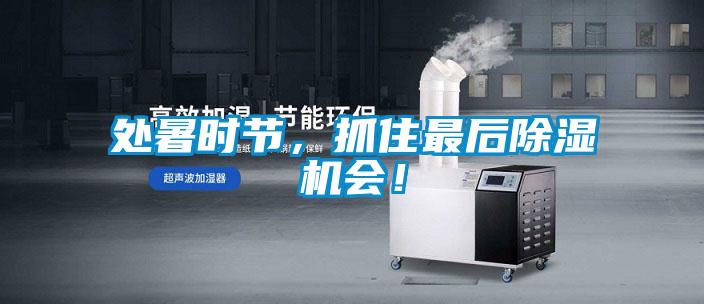 處暑時節，抓住最后除濕機會！