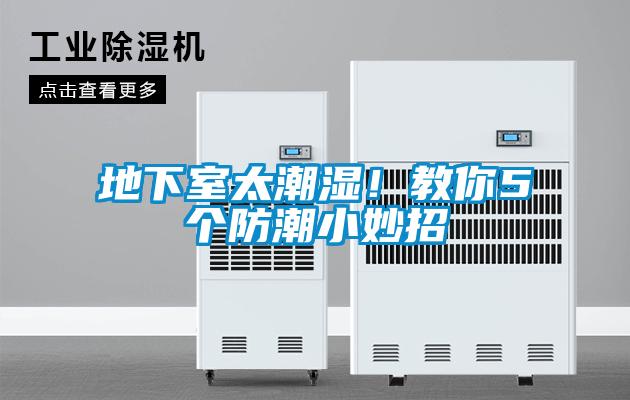 地下室太潮濕！教你5個防潮小妙招