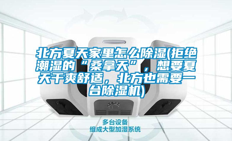 北方夏天家里怎么除濕(拒絕潮濕的“桑拿天”，想要夏天干爽舒適，北方也需要一臺除濕機)