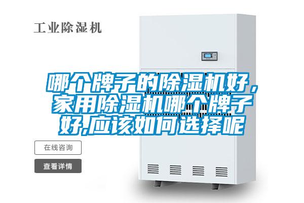 哪個牌子的除濕機好，家用除濕機哪個牌子好,應該如何選擇呢
