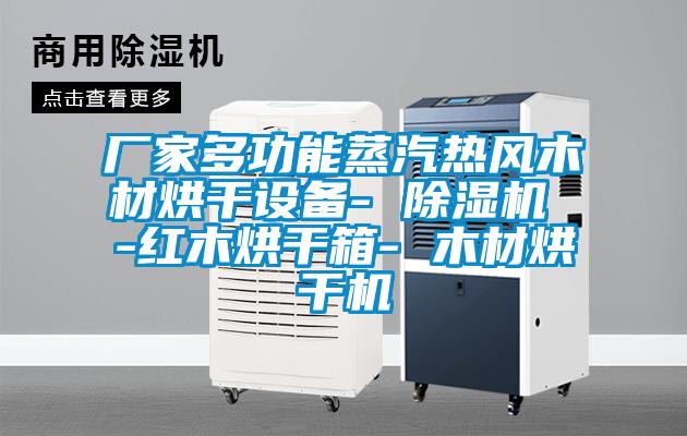 廠家多功能蒸汽熱風木材烘干設備- 除濕機 -紅木烘干箱- 木材烘干機