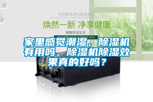 家里感覺潮濕，除濕機有用嗎，除濕機除濕效果真的好嗎？