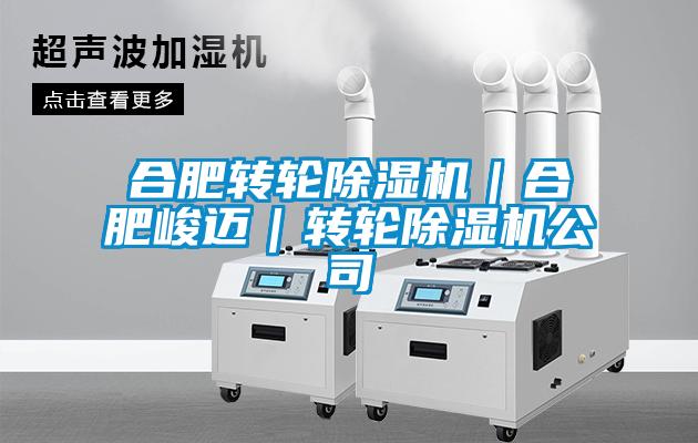合肥轉輪除濕機｜合肥峻邁｜轉輪除濕機公司
