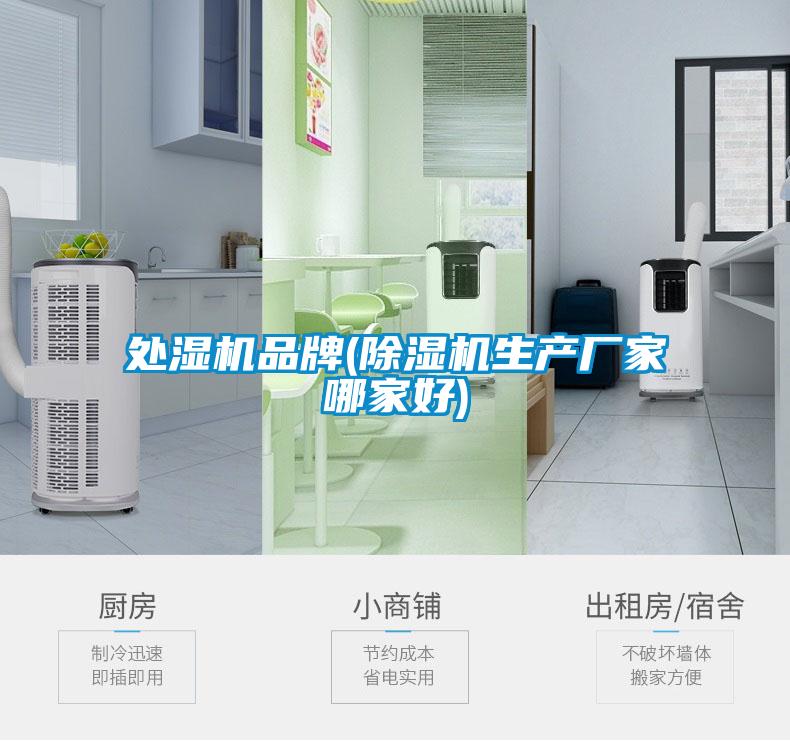 處濕機品牌(除濕機生產廠家哪家好)