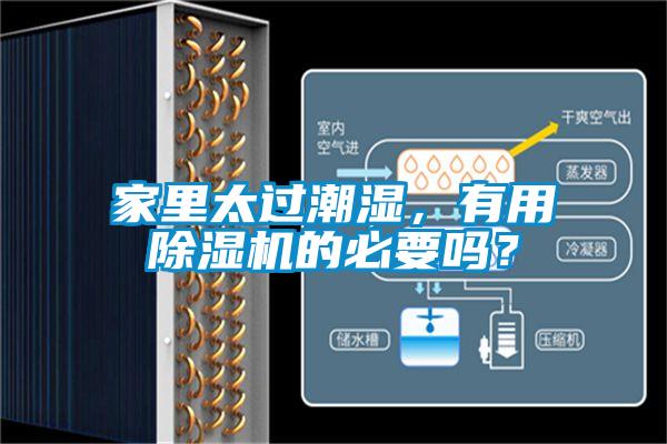 家里太過潮濕，有用除濕機的必要嗎？