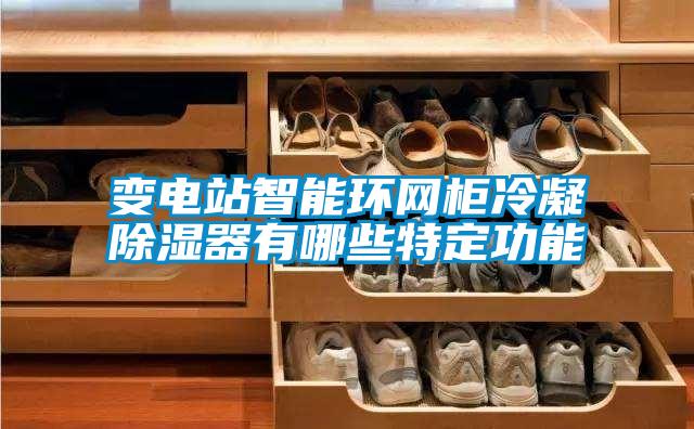 變電站智能環網柜冷凝除濕器有哪些特定功能