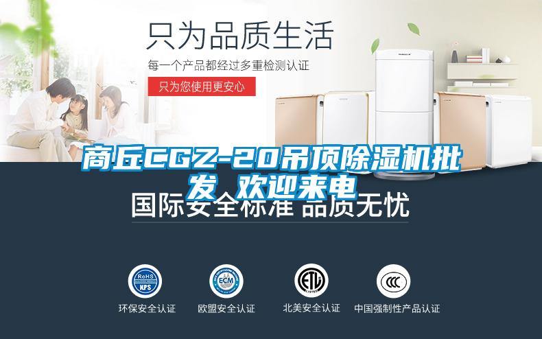 商丘CGZ-20吊頂除濕機批發 歡迎來電