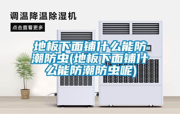 地板下面鋪什么能防潮防蟲(chóng)(地板下面鋪什么能防潮防蟲(chóng)呢)