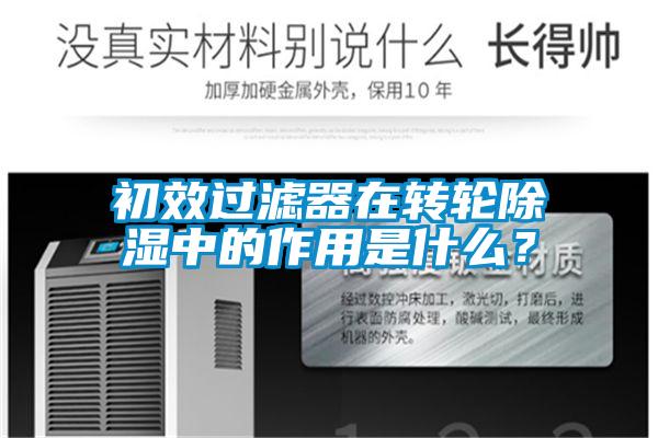 初效過濾器在轉輪除濕中的作用是什么？