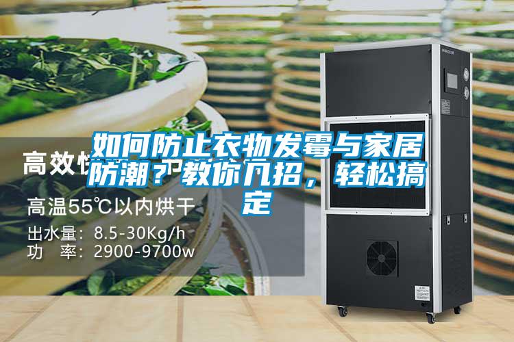 如何防止衣物發(fā)霉與家居防潮？教你幾招，輕松搞定