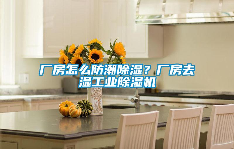 廠房怎么防潮除濕？廠房去濕工業(yè)除濕機