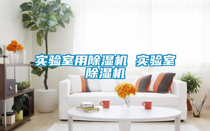 實驗室用除濕機 實驗室除濕機