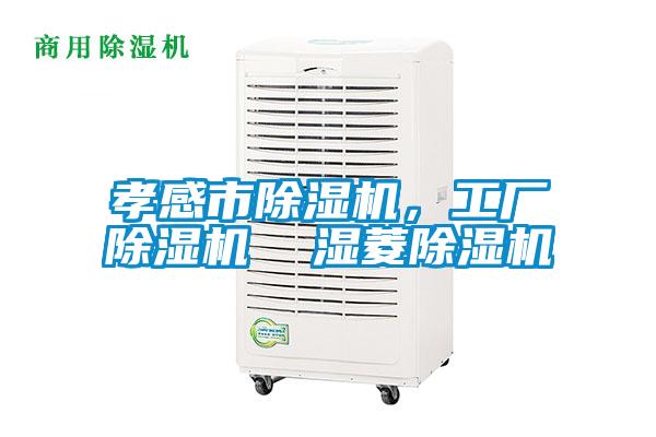 孝感市除濕機，工廠除濕機  濕菱除濕機