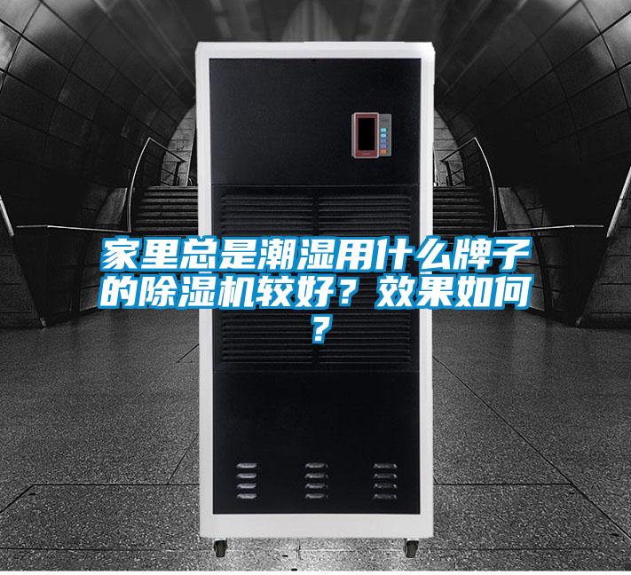 家里總是潮濕用什么牌子的除濕機較好？效果如何？