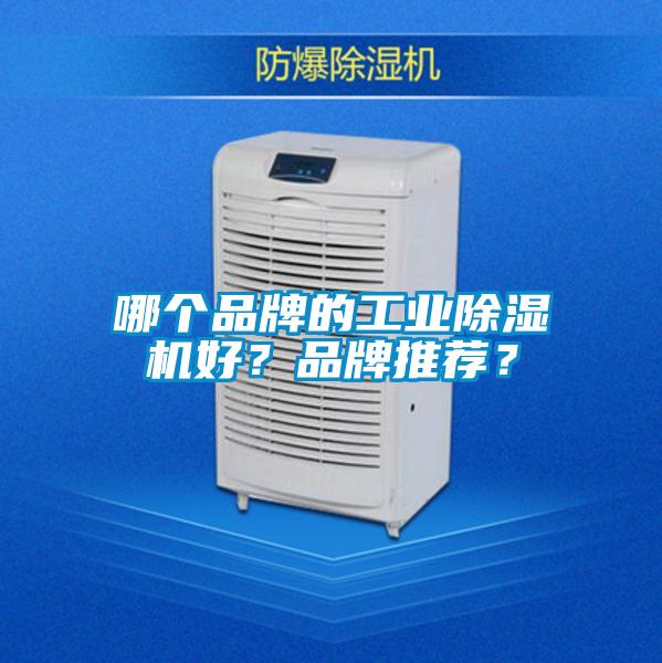 哪個品牌的工業(yè)除濕機(jī)好？品牌推薦？