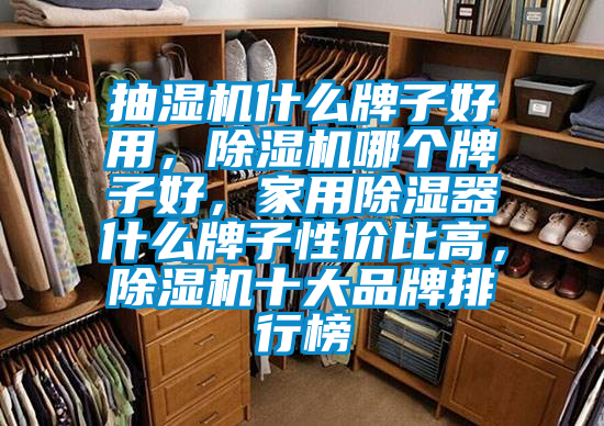 抽濕機什么牌子好用，除濕機哪個牌子好，家用除濕器什么牌子性價比高，除濕機十大品牌排行榜