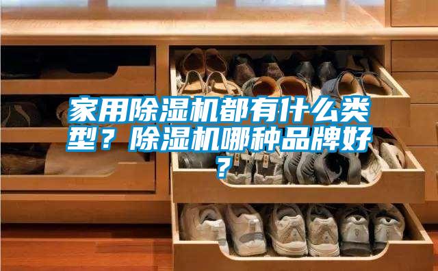 家用除濕機都有什么類型？除濕機哪種品牌好？