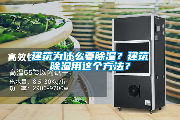 建筑為什么要除濕？建筑除濕用這個方法？