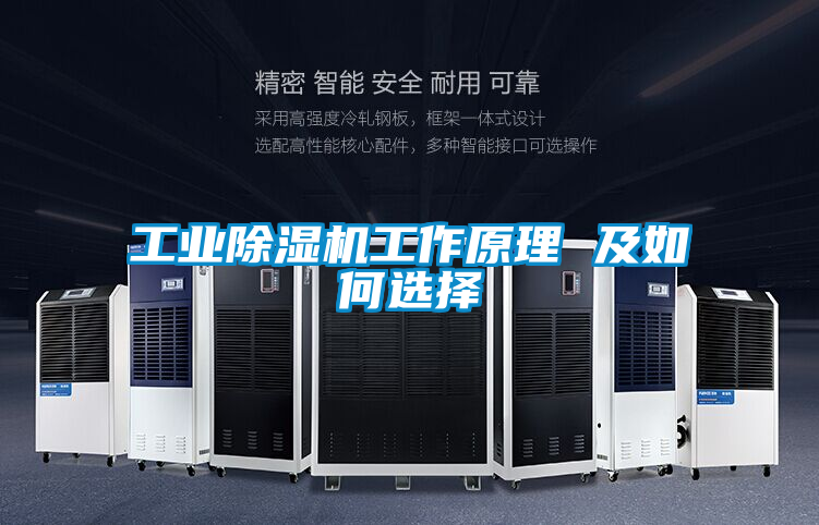 工業除濕機工作原理 及如何選擇