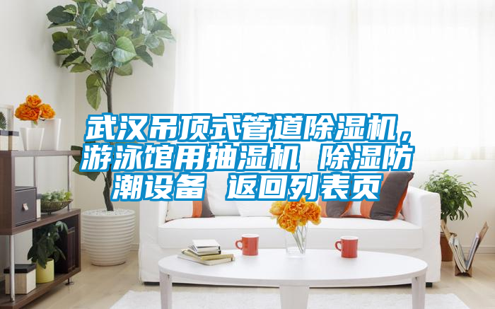 武漢吊頂式管道除濕機，游泳館用抽濕機 除濕防潮設(shè)備 返回列表頁