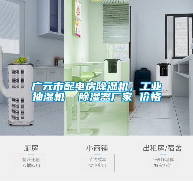 廣元市配電房除濕機，工業(yè)抽濕機  除濕器廠家 價格
