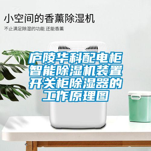 廬陵華科配電柜智能除濕機裝置開關(guān)柜除濕器的工作原理圖
